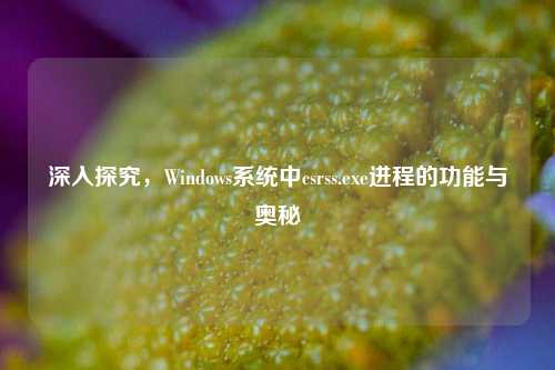 深入探究,Windows系统中csrss.exe进程的功能与奥秘