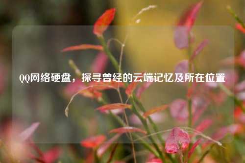 硬盘,探寻曾经的云端记忆及所在位置