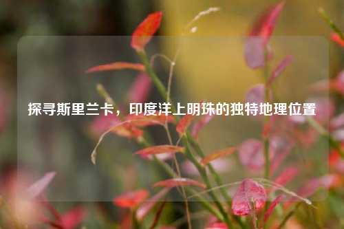 探寻斯里兰卡,印度洋上明珠的独特地理位置