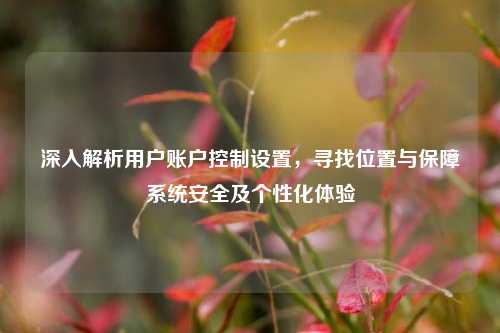 深入解析用户账户控制设置,寻找位置与保障系统安全及个性化体验
