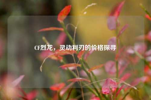 CF烈龙,灵动利刃的价格探寻