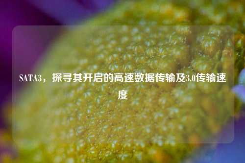 SATA3,探寻其开启的高速数据传输及3.0传输速度