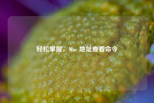 轻松掌握,Mac 地址查看命令