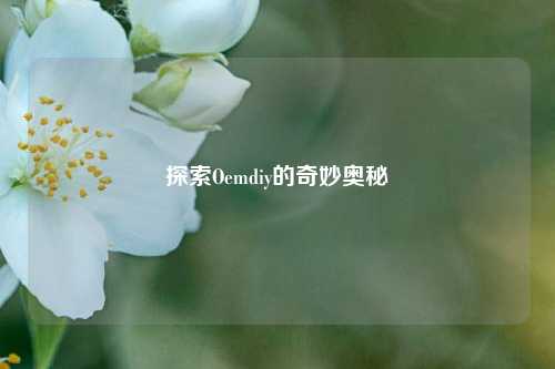 探索Oemdiy的奇妙奥秘