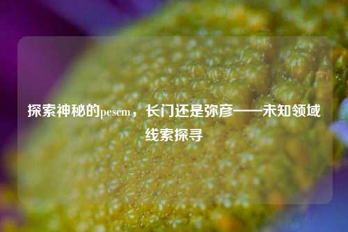 探索神秘的pescm,长门还是弥彦——未知领域线索探寻