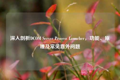 深入剖析DCOM Server Process Launcher,功能、原理及常见意外问题