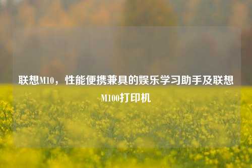 联想M10,性能便携兼具的娱乐学习助手及联想M100打印机