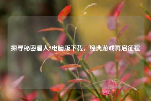 探寻秘密潜入2电脑版下载,经典游戏再启征程