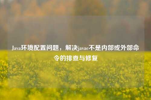 Java环境配置问题,解决javac不是内部或外部命令的排查与修复