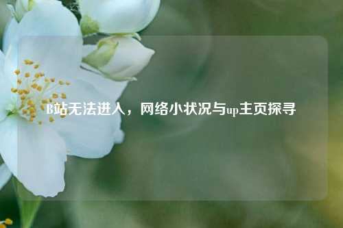 B站无法进入, 小状况与up主页探寻