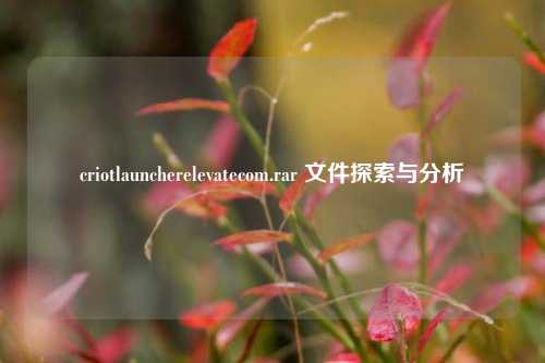 criotlauncherelevatecom.rar 文件探索与分析