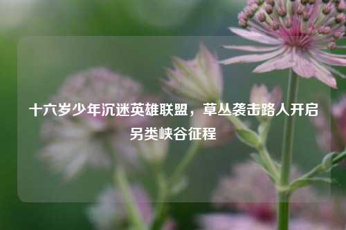 十六岁少年沉迷英雄联盟,草丛袭击路人开启另类峡谷征程