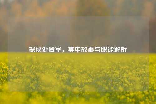探秘处置室,其中故事与职能解析