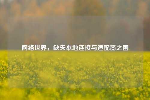 世界,缺失本地连接与适配器之困