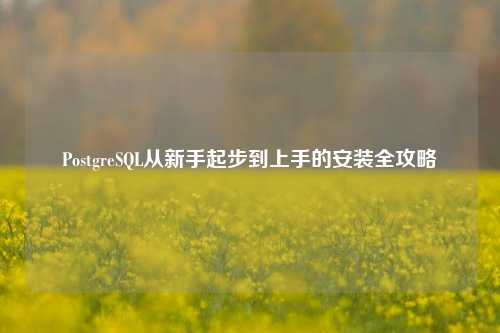 PostgreSQL从新手起步到上手的安装全攻略