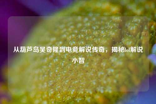 从葫芦岛吴奇隆到电竞解说传奇,揭秘lol解说小智