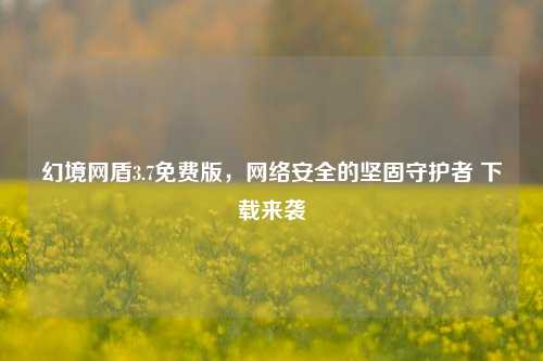 幻境网盾3.7免费版, 安全的坚固守护者 下载来袭