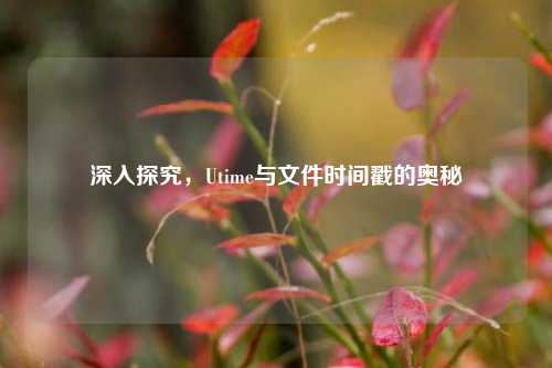 深入探究,Utime与文件时间戳的奥秘