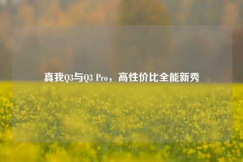 真我Q3与Q3 Pro,高性价比全能新秀