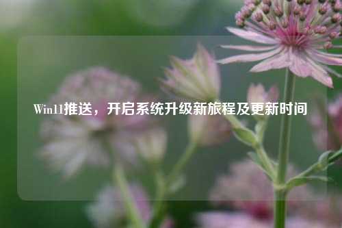 Win11推送,开启系统升级新旅程及更新时间