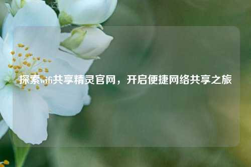 探索wifi共享精灵官网,开启便捷 共享之旅