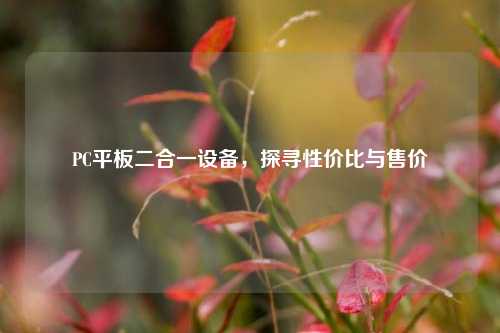 PC平板二合一设备,探寻性价比与售价