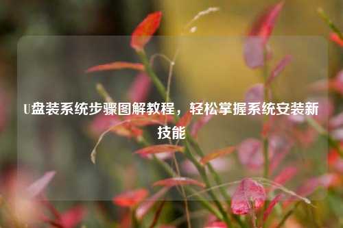 U盘装系统步骤图解教程，轻松掌握系统安装新技能