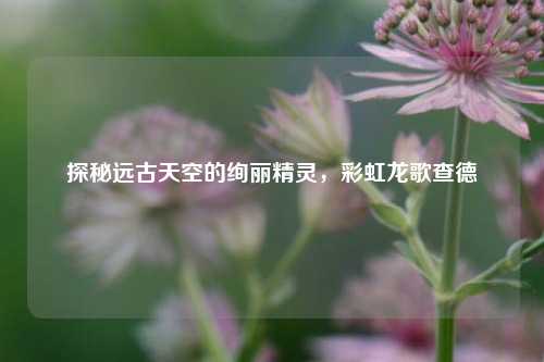 探秘远古天空的绚丽精灵，彩虹龙歌查德