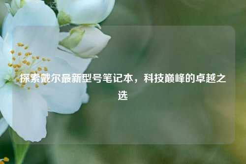 探索戴尔最新型号笔记本,科技巅峰的卓越之选